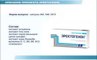 Препарат для повышения потенции и либидо – Эректогенон, показания и правила применения