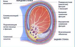 Лечение орхита у мужчин