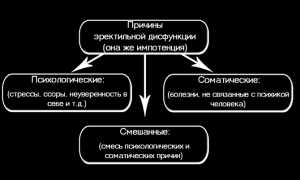 Препарат «Дар Гималаев» – решение проблем с мужским здоровьем