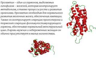 Как понизить пролактин?