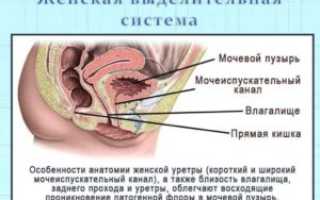 Выделения из мочеиспускательного канала (уретры) у женщин и мужчин