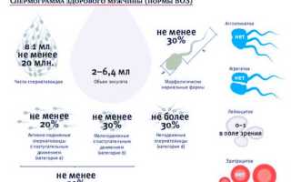 Спермограмма по тесту морфологии крюгера