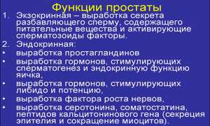 Как простатит влияет на возможность иметь детей