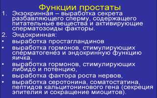 Как простатит влияет на возможность иметь детей