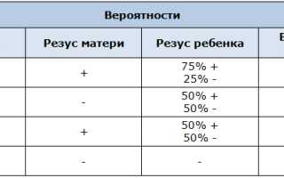 Подготовка к зачатию обоих партнеров — что нужно знать?