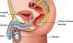 Анализы при простатите у мужчин