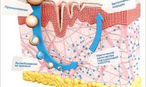 Обзор популярных кремов с гиалуроновой кислотой – виды и особенности применения