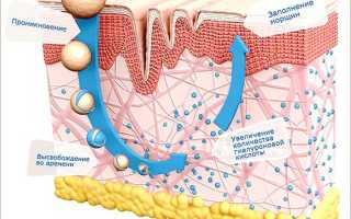 Обзор популярных кремов с гиалуроновой кислотой – виды и особенности применения