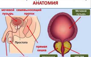 «Афала»: инструкция по применению