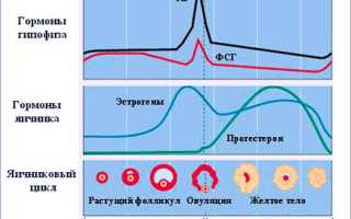 Какие гормоны сдавать при женском бесплодии