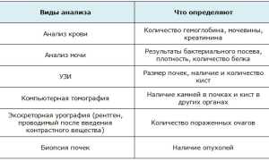 Как проявляется поликистоз почек у взрослых и детей — образ жизни при болезни