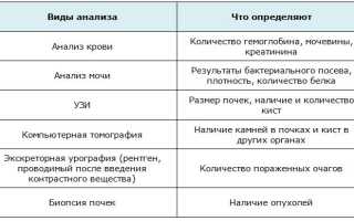 Как проявляется поликистоз почек у взрослых и детей — образ жизни при болезни