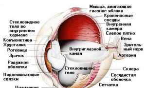 Какие самые красивые глаза в мире у женщин и мужчин?